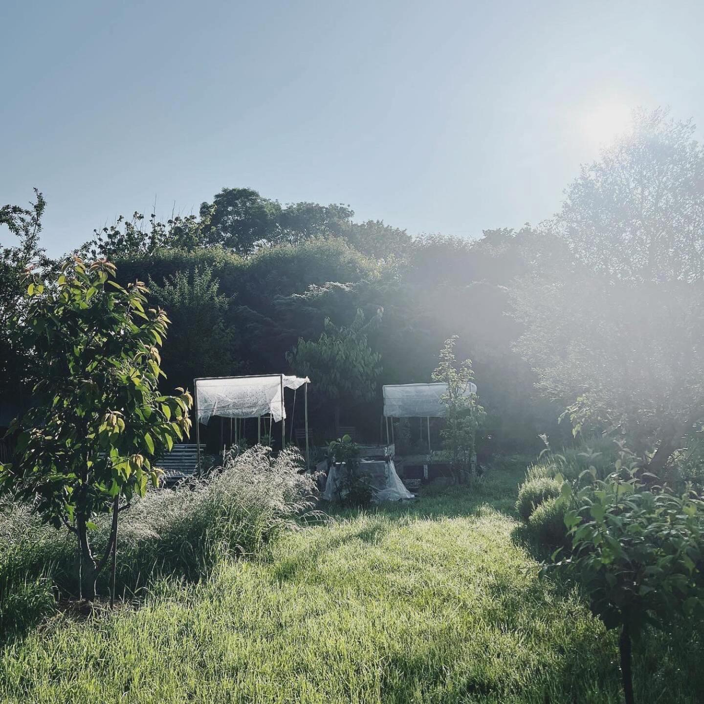 Maisonnette - La Clochette Lugon et l’Ile du Carney Buitenkant foto